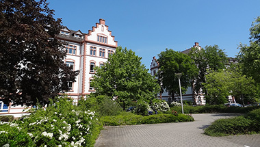 Entwicklungsprogramm