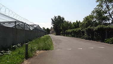 Grüne Schiene, Worms
