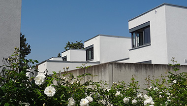 Liebenauer Feld, Worms