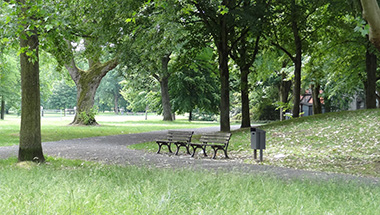 Grünes Ypsilon-Ginnheim/Dornbusch, FFM